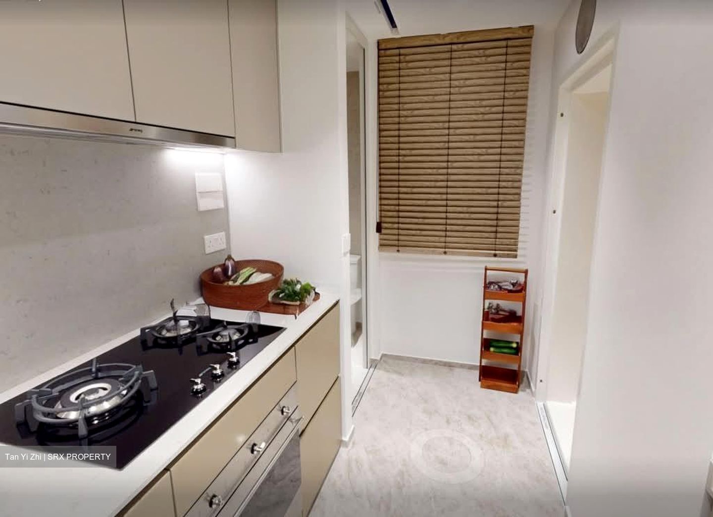 Dunearn Road (D11), Condominium #591296251